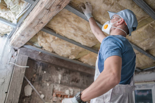 Best Cellulose Insulation in Six Shooter Canyon, AZ