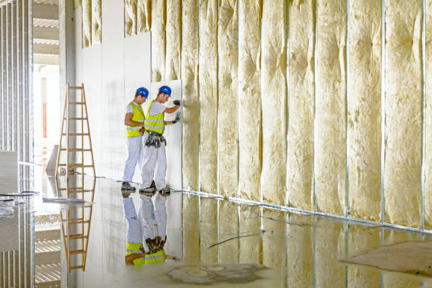 Best Specialized Insulation Services in Six Shooter Canyon, AZ